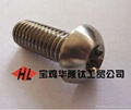 Titanium Torx Bolt 1