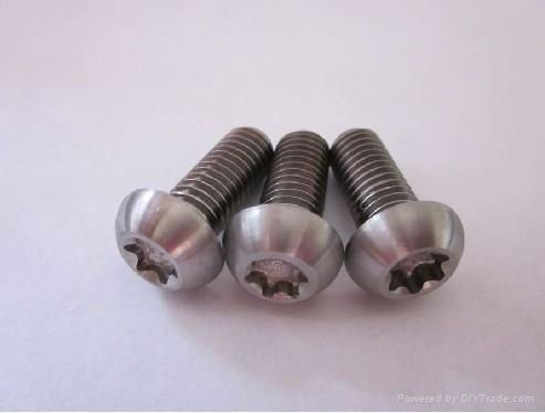 Titanium Torx Bolt 2