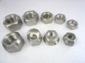 Titanium Nut 2