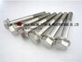 Titanium Flanged Bolt 1