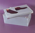 shoe storage box