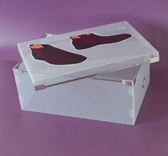 shoe storage box