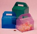 Plastic Gift Boxes 1