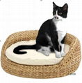 Cat bed  1