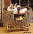 Cat bed  1