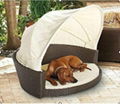 Dog bed 1