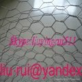  Hexagonal Wire Netting Machine 5