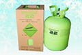 r22 REFRIGERANT GAS 4