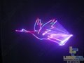 RGB Laser Light 3