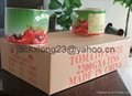 850g canned tomato paste 2