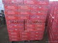 850g canned tomato paste 4