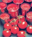 400g canned tomato paste 3
