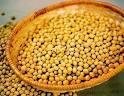 Soybean Dietary Fiber
