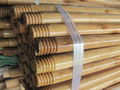 Varnished Wooden Mop / Broom Rods handle