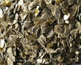 vermiculite