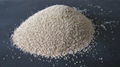 vermiculite 2