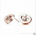 Stainless Steel Earring 2