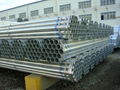 Hot Galvanized Steel Pipe 1