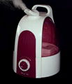 Ultrasonic Humidifier