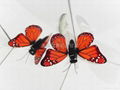 solar living butterfly toy