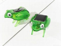 solar living frog toy