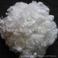 Hollow Conjugated Polyester staple fiber