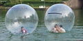 wholesale walk on water ball