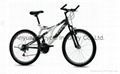 Montain Bicycle 1