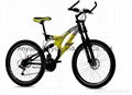 Montain Bicycle 4