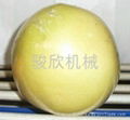 成都柚子POF環保包裝膜 2