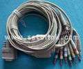 NIHON KOHDEN EKG CABLE 1O LEADS