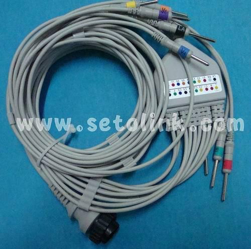 NIHON KOHDEN EKG CABLE 1O LEADS 2