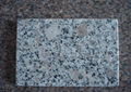 G383 granite 1