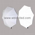 Umbrella softbox 2