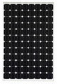 Monocrystalline Solar PV Panel/Solar Module (CLSPM-20W-300W) 5