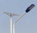 Solar Street Light/Solar Outdoor Lighting (CLSF-040W)