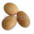 Chicken Eggs 2