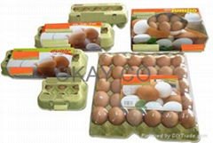 Chicken Eggs