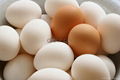 Chicken Eggs 3