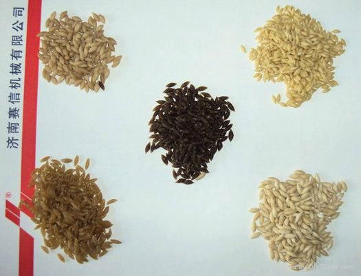 Artificial  Nutritional Rice process Line 3