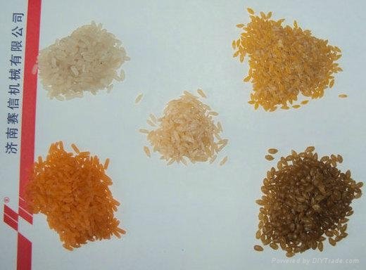 Artificial  Nutritional Rice process Line 5