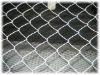 Wire Mesh Fence