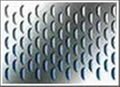 Perforated Metal Mesh 2