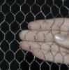 Gabion Mesh