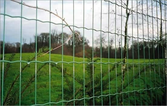 Welded Wire Fence 3