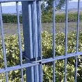 Double Wire Fence 5