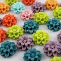 2012 Wholesale Resin Colorful Flowers including Daisy 4