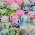 2012 Wholesale Resin Colorful Flowers including Daisy 5
