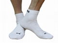 Cotton Sock 2
