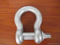 US type screw pin anchor shackle G209 1